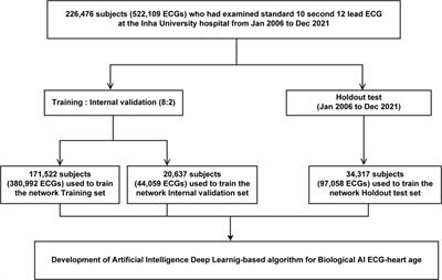 Artificial intelligence-estimated biological heart age using a 12-lead electrocardiogram predicts mortality and cardiovascular outcomes
